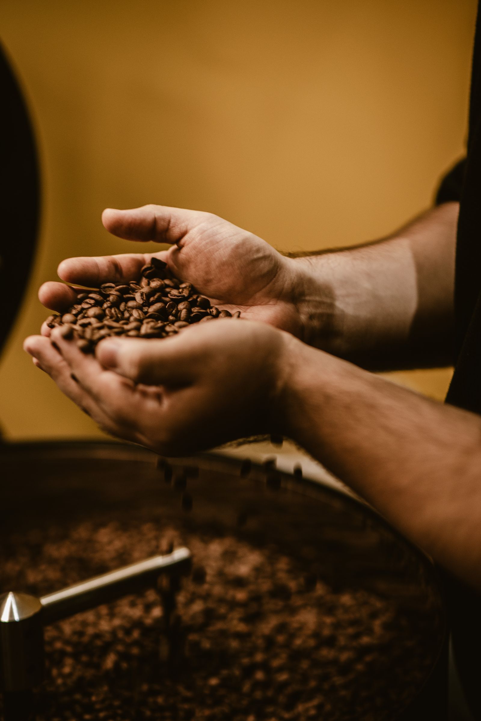 Roasted beans in a buyer’s hands