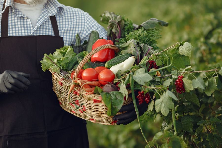 Farmer holding a basket of fresh harvest